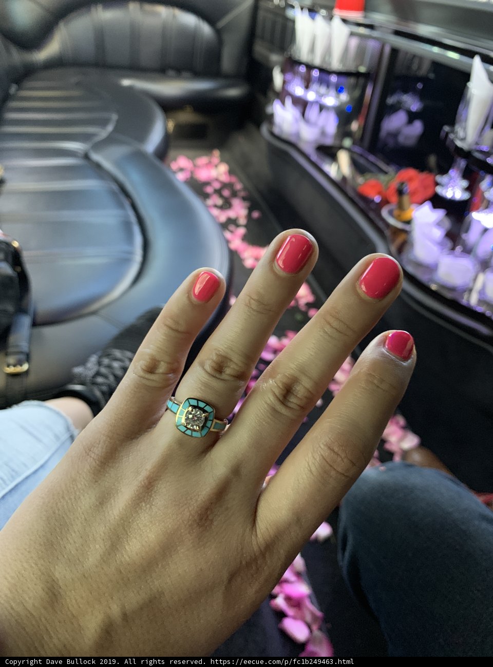 The Diamond Studded Hand