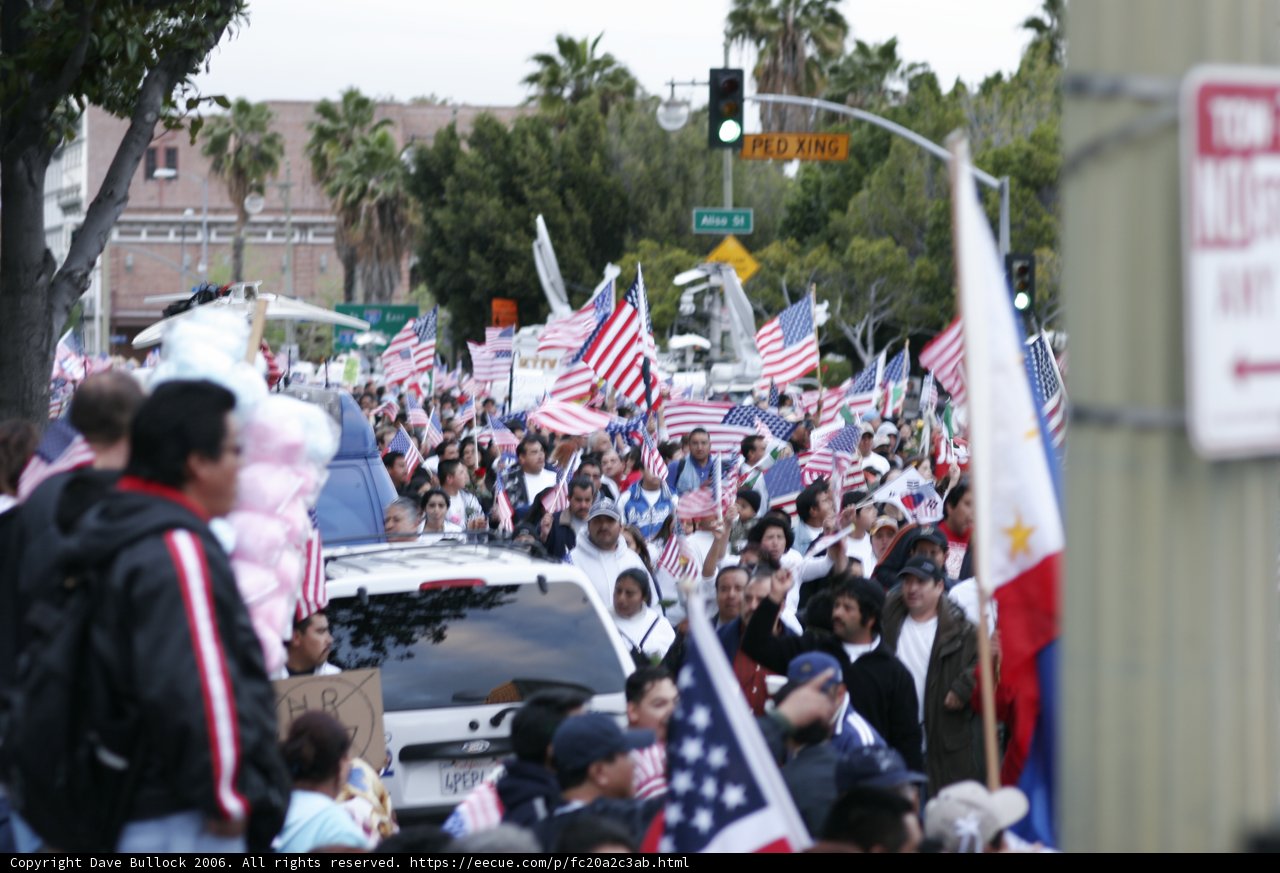 Patriotic Crowd