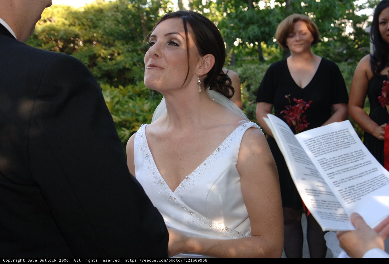 Bride's Emotional Gaze During Outdoor Wedding Ceremony