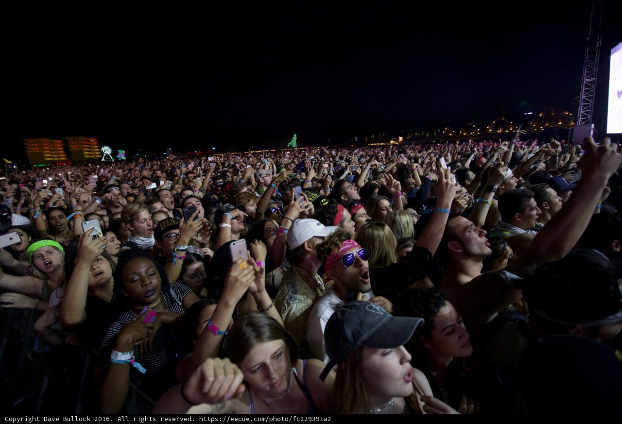 Coachella's Electric Crowd