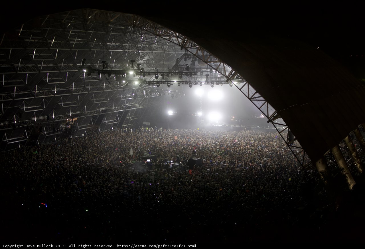 Electric Night: A Concert Crowded with Music Lovers