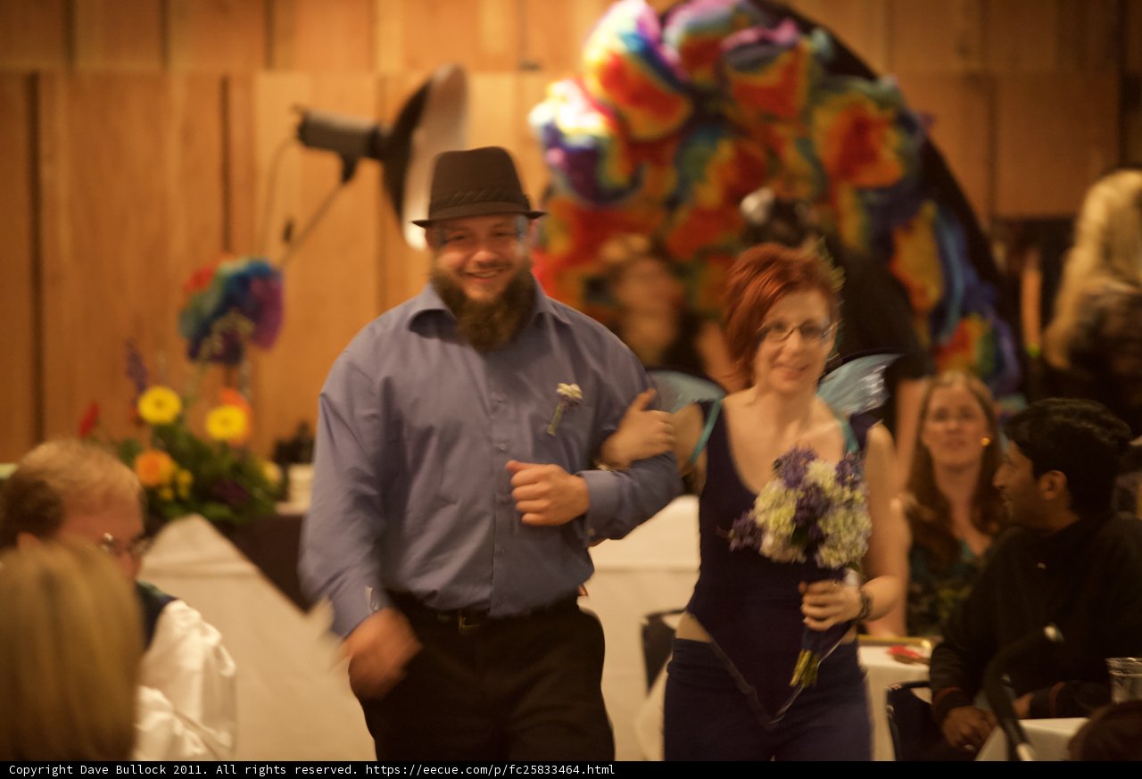 The Blissful Walk Down the Aisle