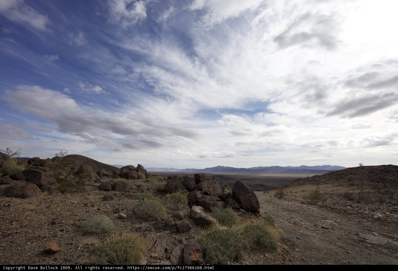 Overlooking the Vast Wilderness