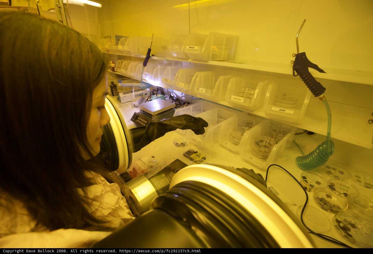 Lab Technician Working on a Machine