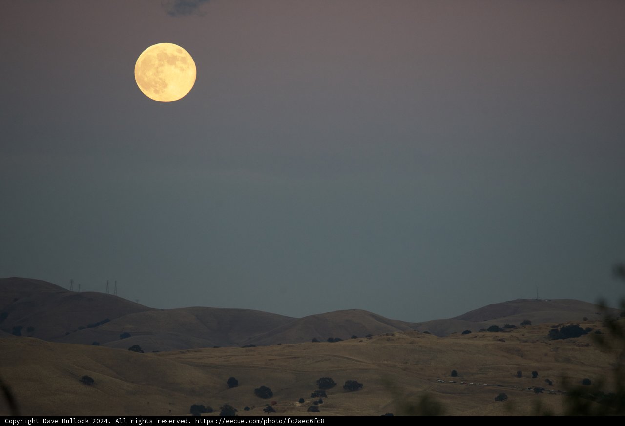 Moonlit Elegance Over Walnut Creek