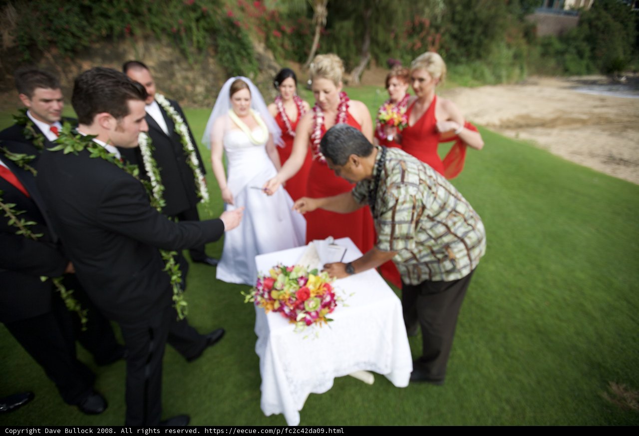Cutting the Wedding Cake