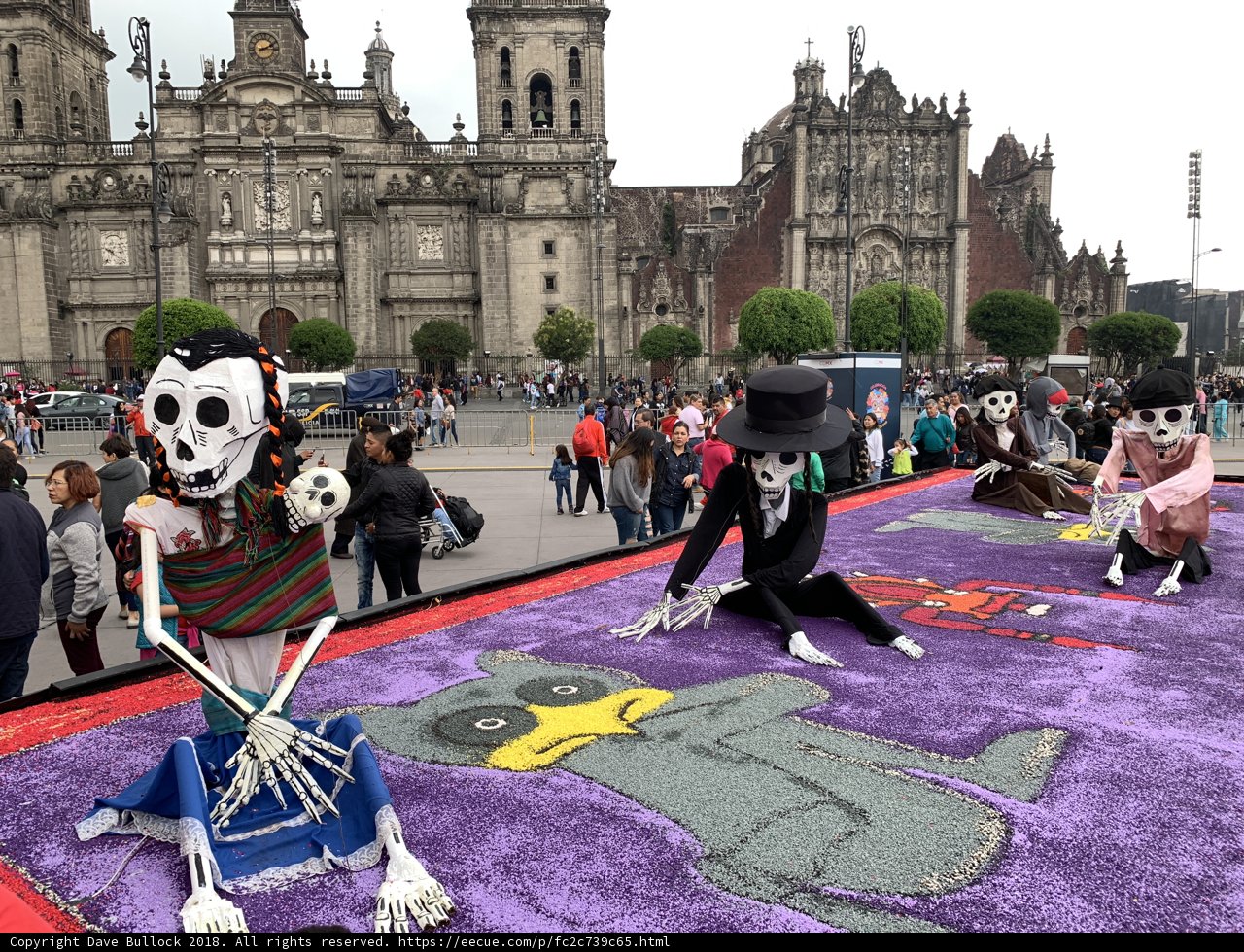 Skeletons on a Rug