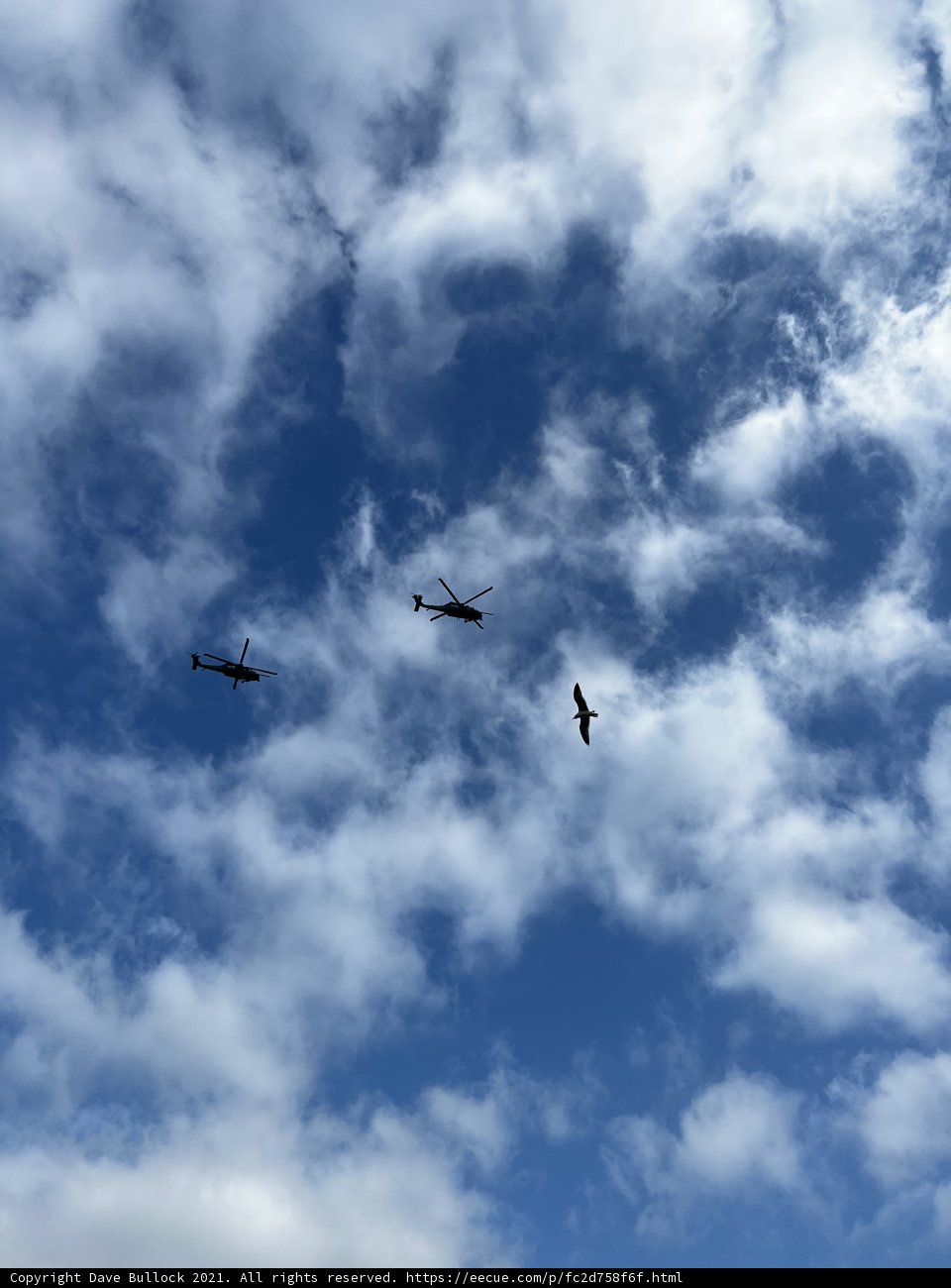 Flying High