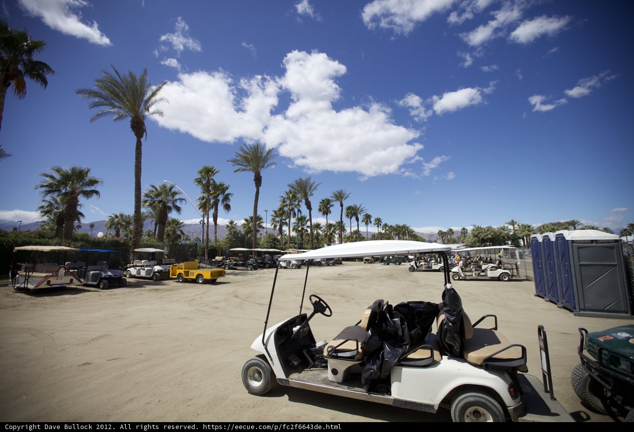 Parked Golf Cart near Palm Trees