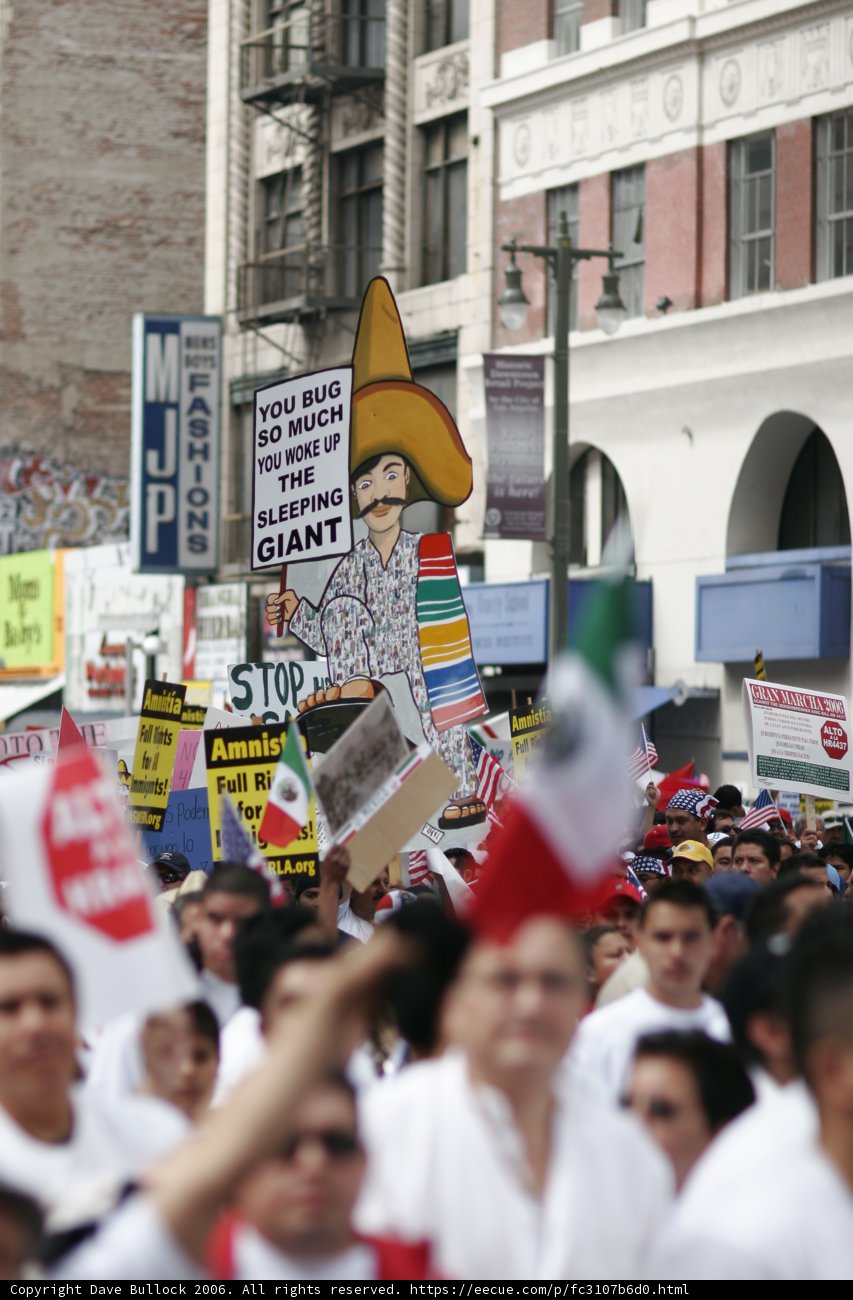 Protesters Gather for a Stance on Social Change