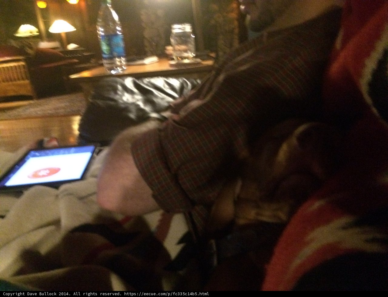 Lazy Evening with Furry Companion