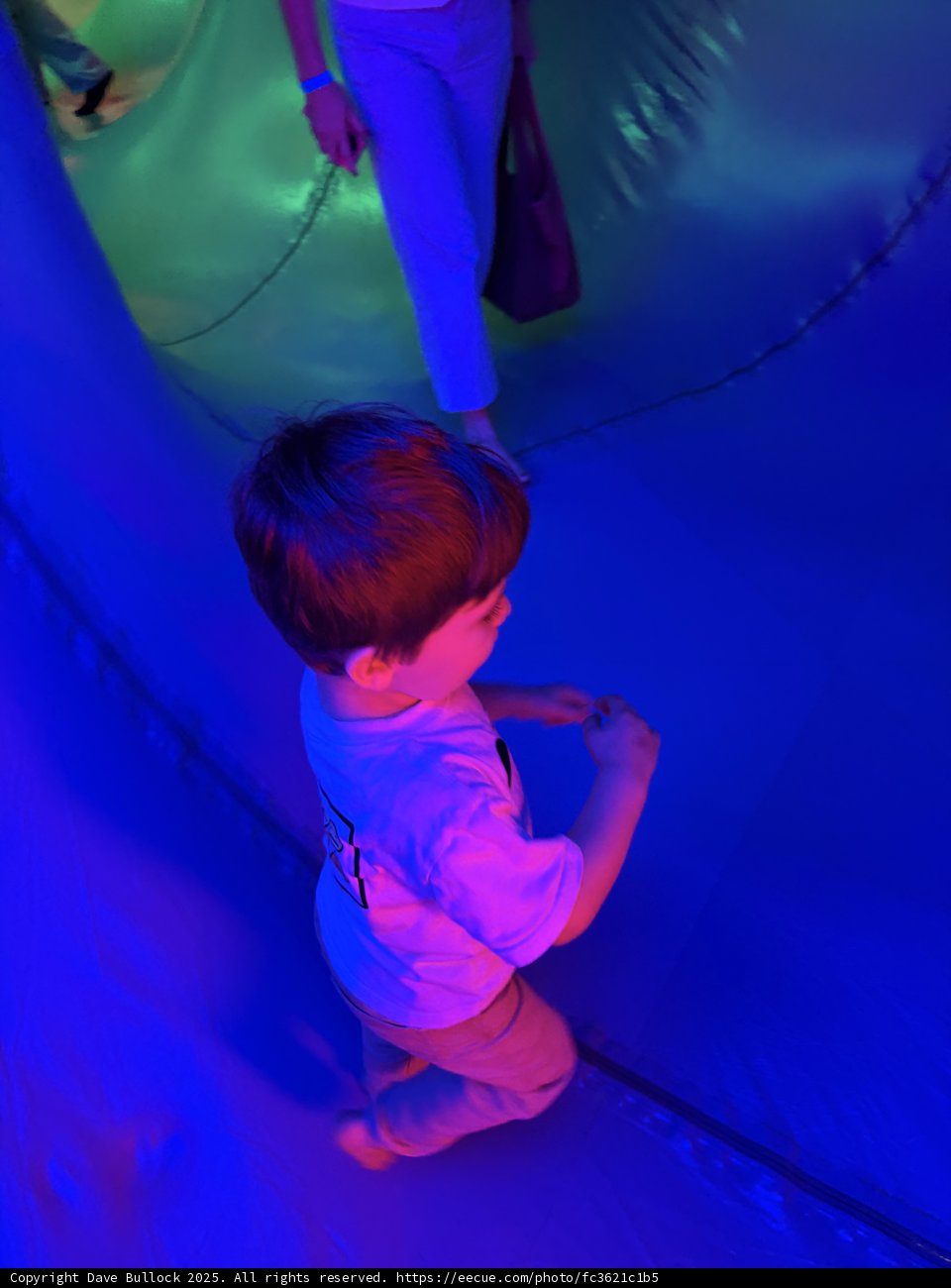 Adventure in Color