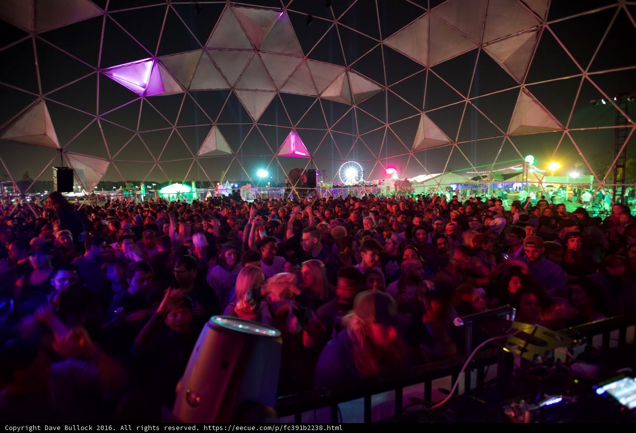 Electric Nightlife