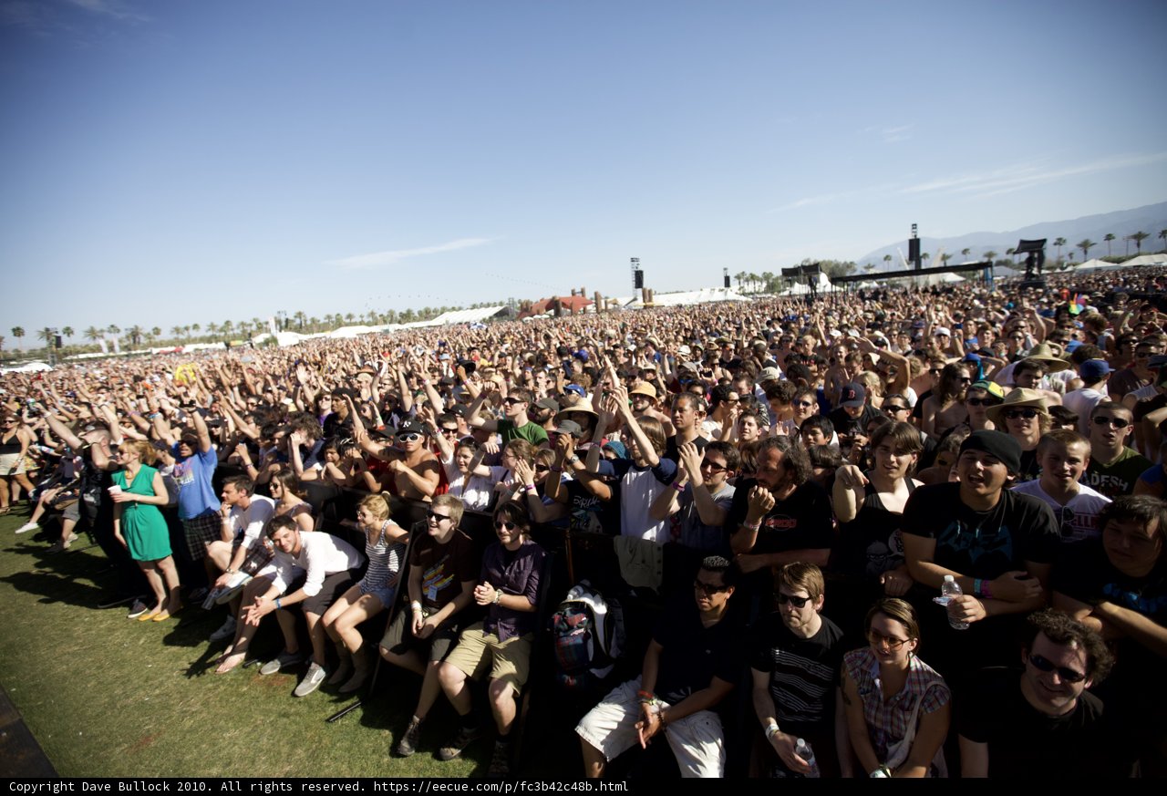Music Festival Madness