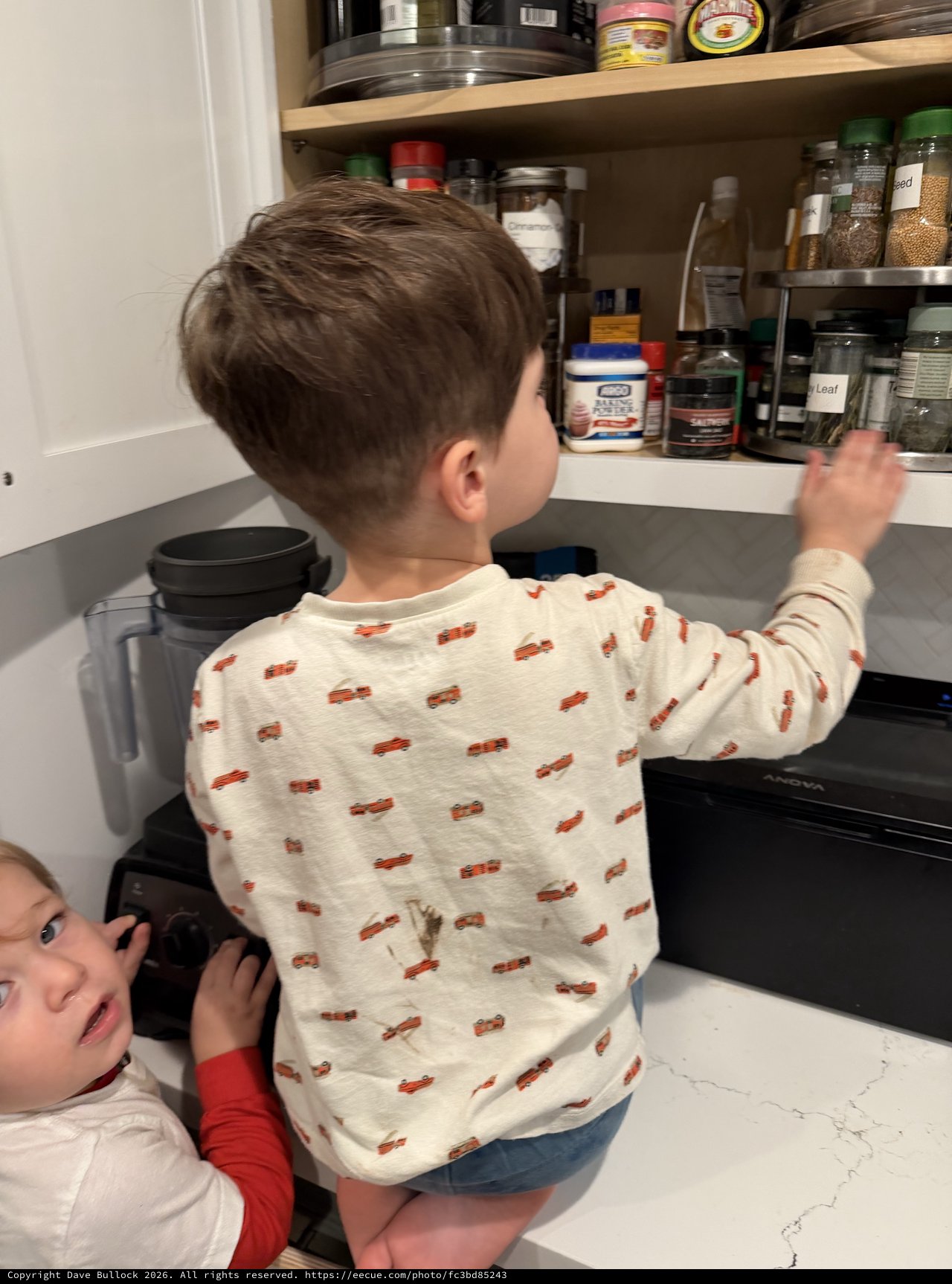 Young Boys Reaching for Spices in Kitchen Pantry