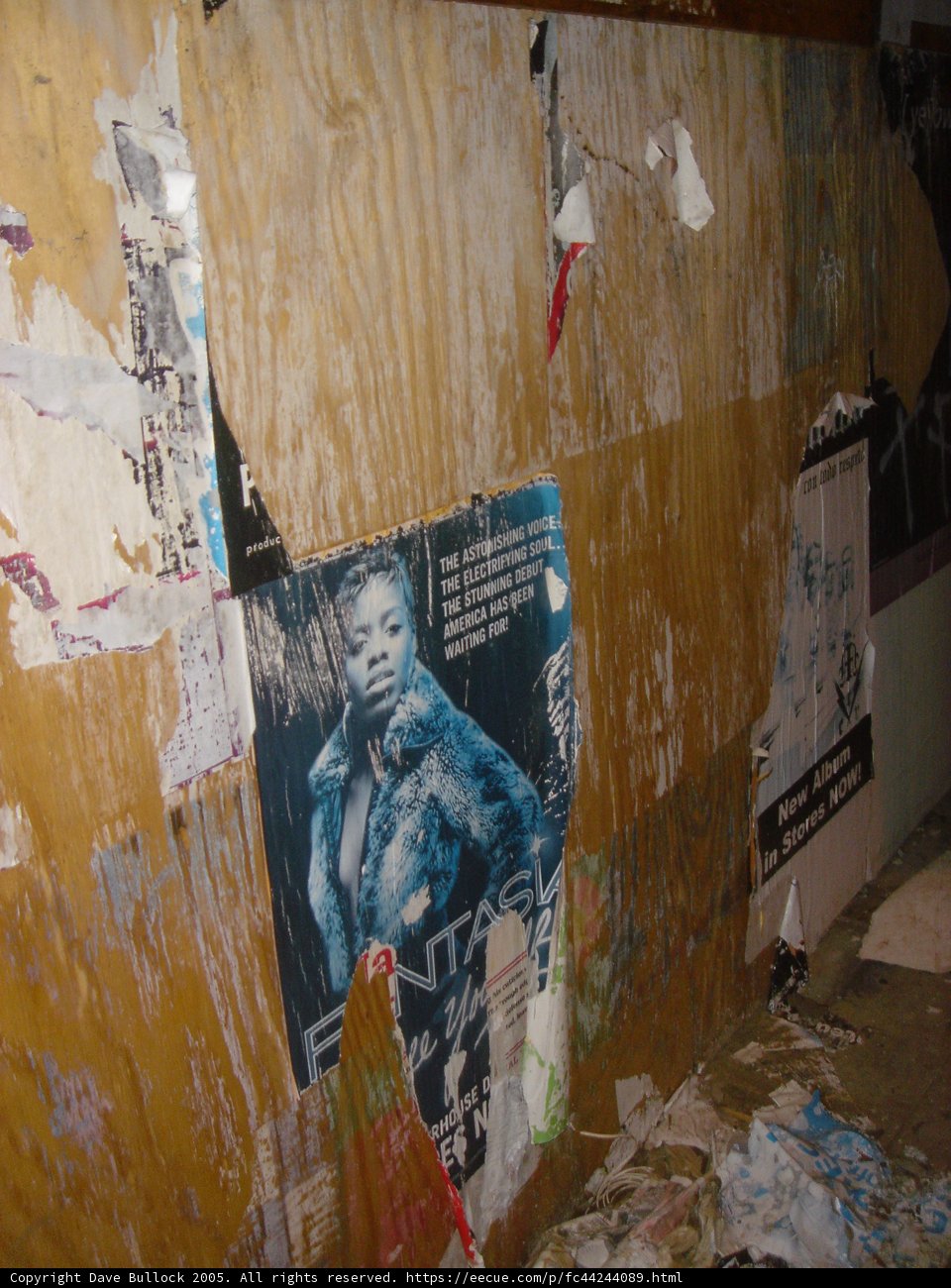 The Plywood Wall