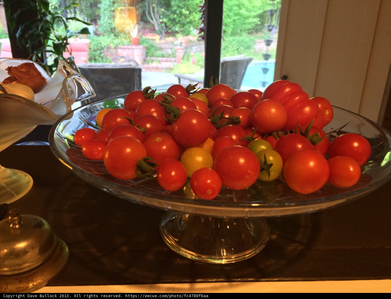A Bountiful Harvest of Homegrown Tomatoes