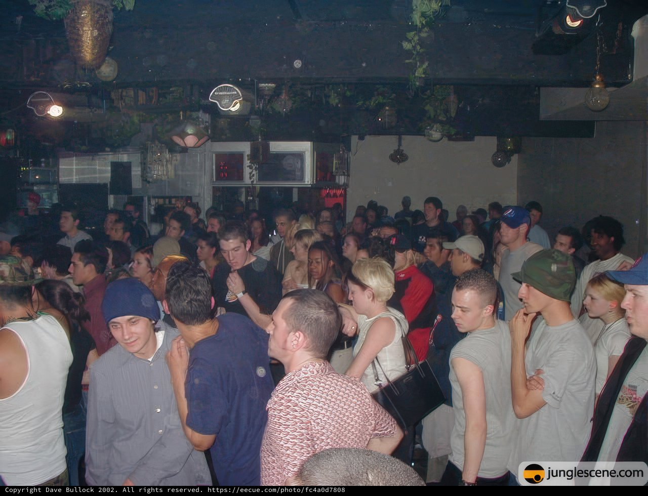 Nightclub frenzy