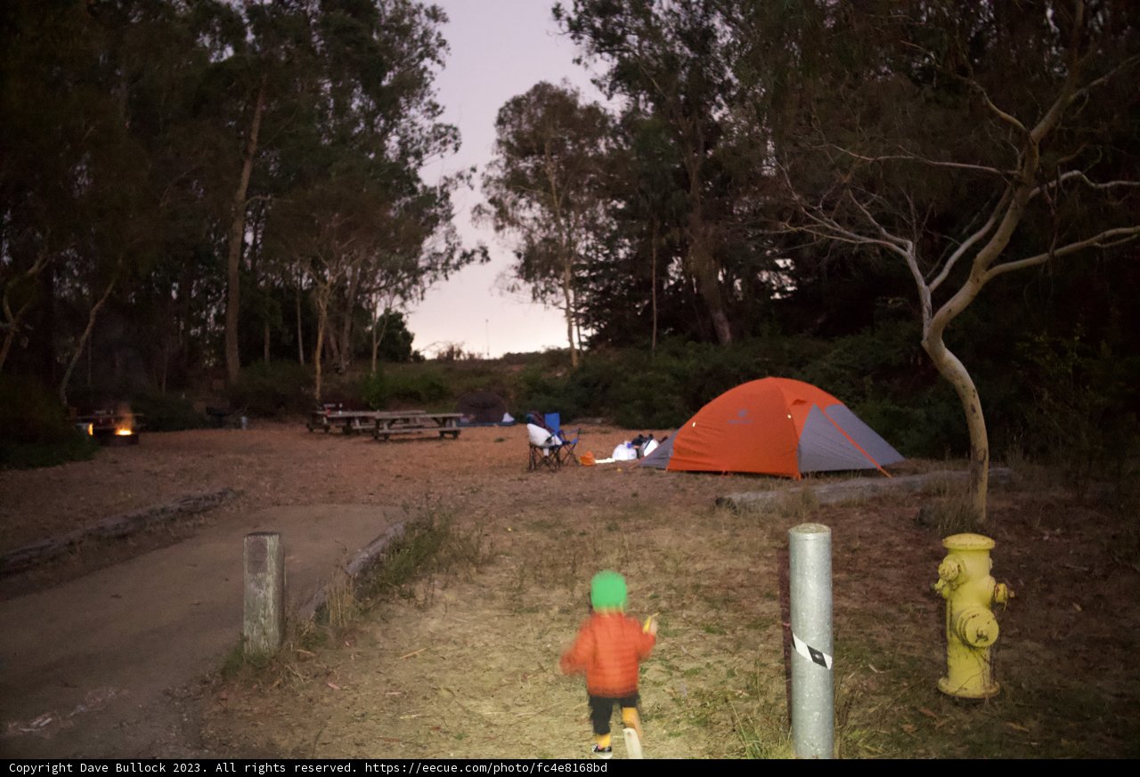 Embracing the Wilderness: First Steps into Camping