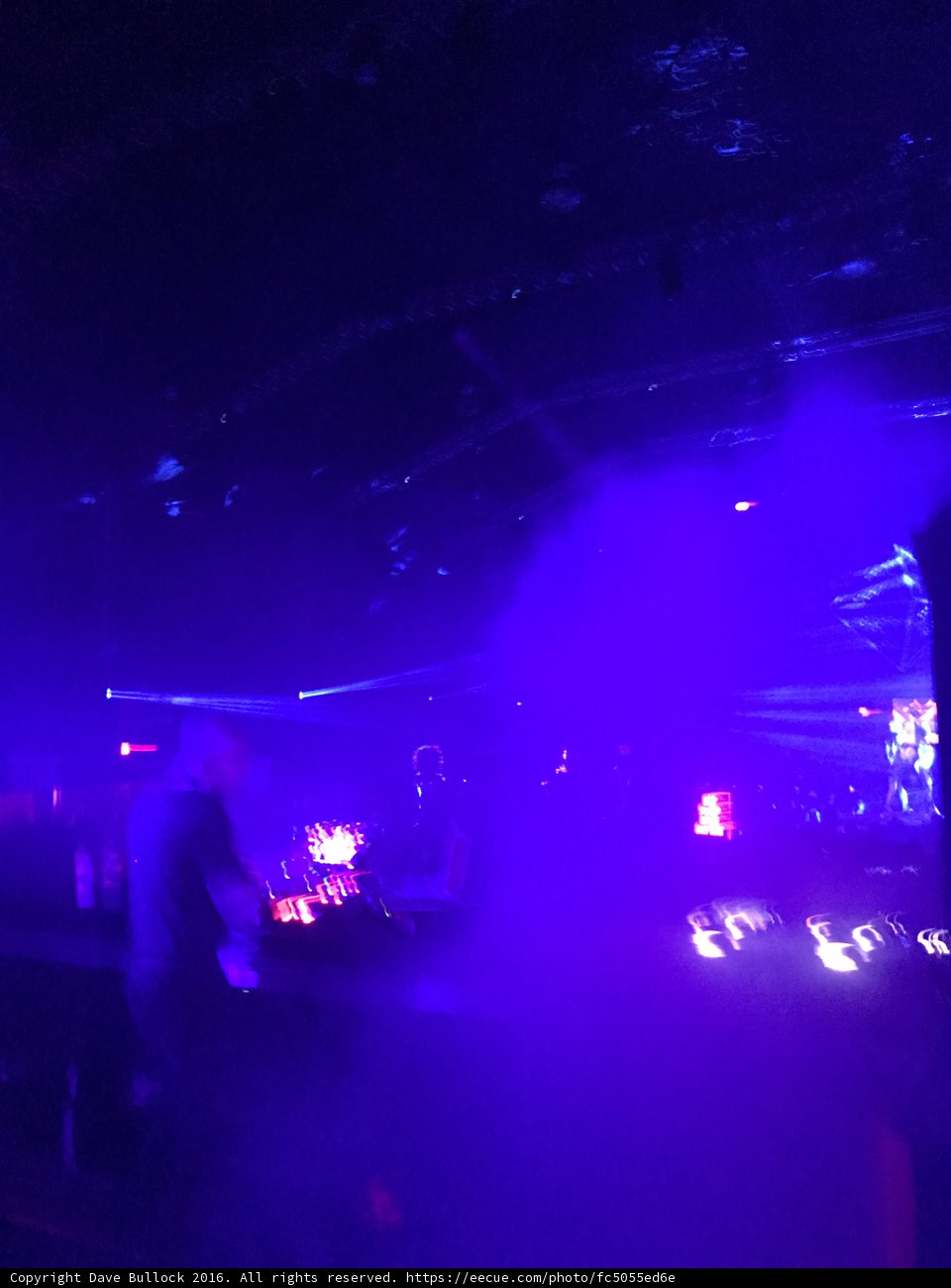 Purple Haze Performance