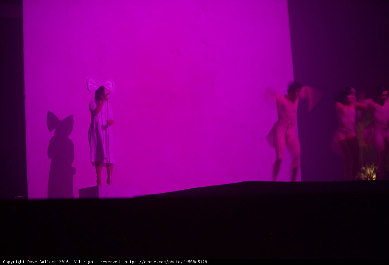 Purple Haze Performance