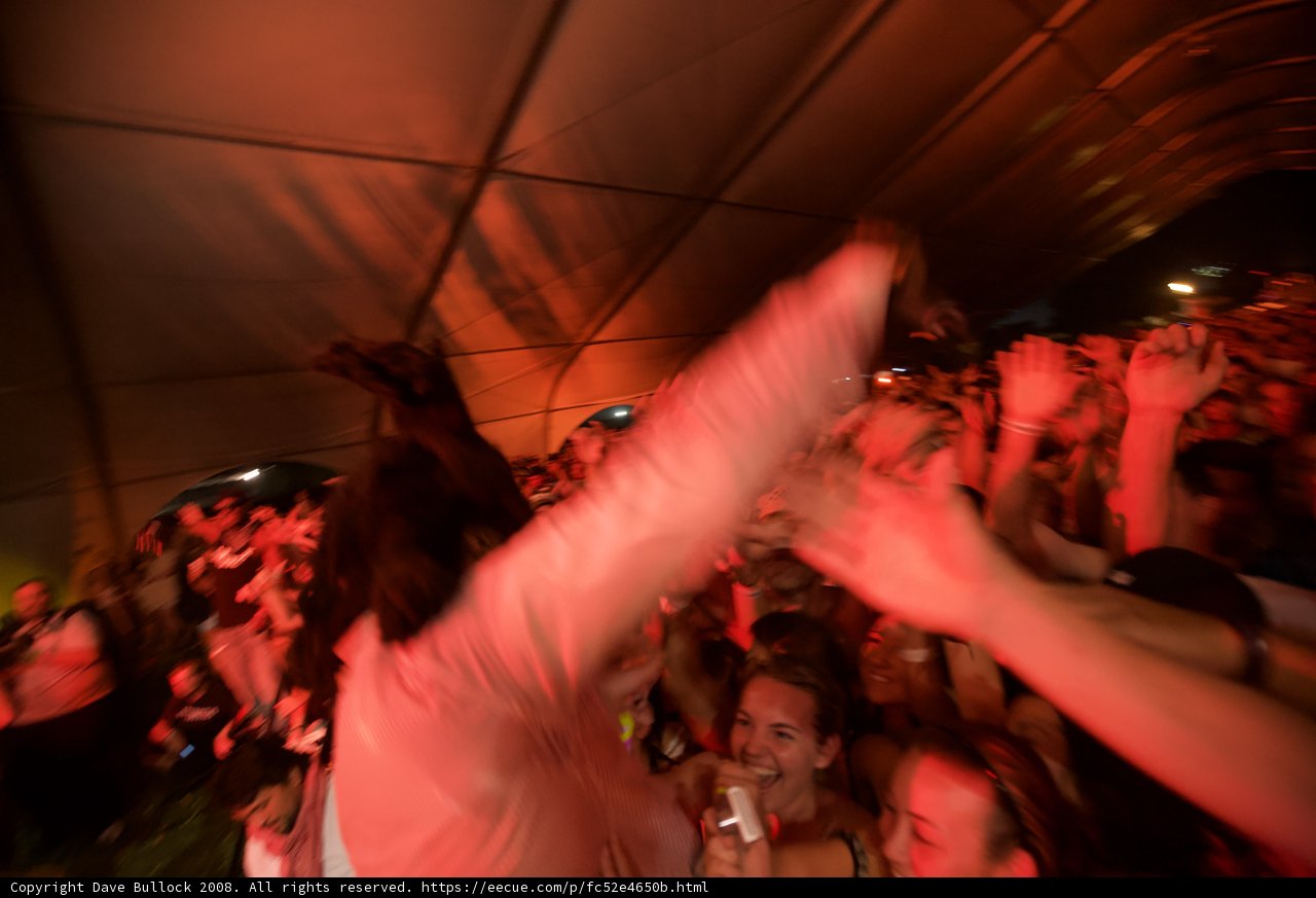 Coachella Crowd with Hands Up
