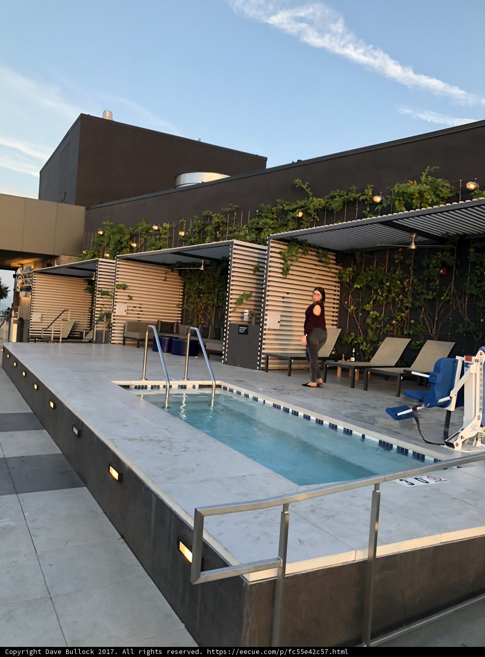 Rooftop Oasis