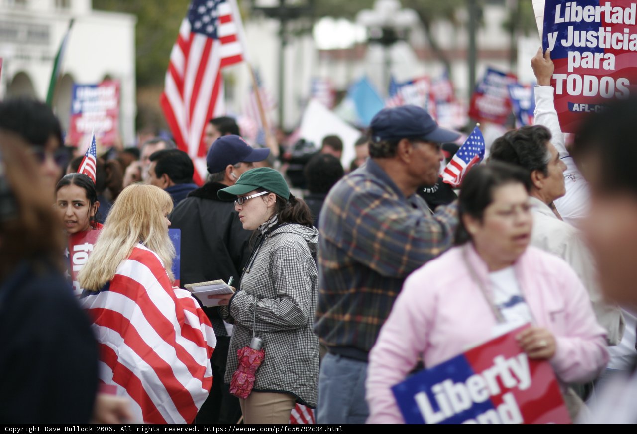 Patriotic Crowd