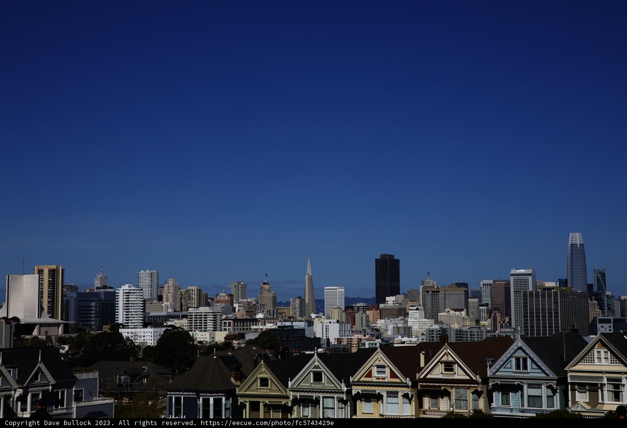 San Francisco's Cityscape from Alamo Square