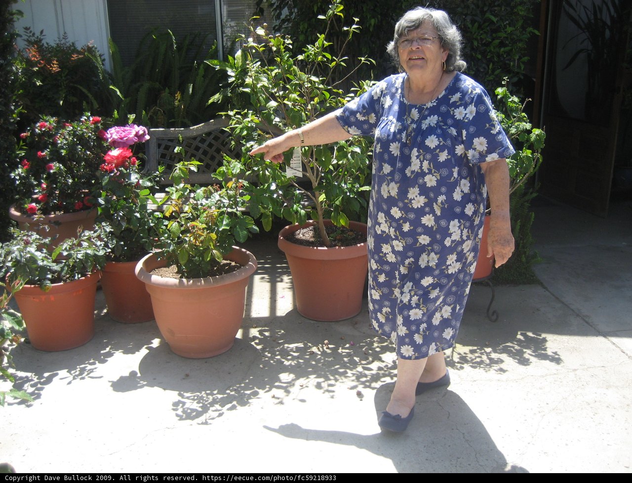 A Lady in Blue amidst a Garden of Herbs