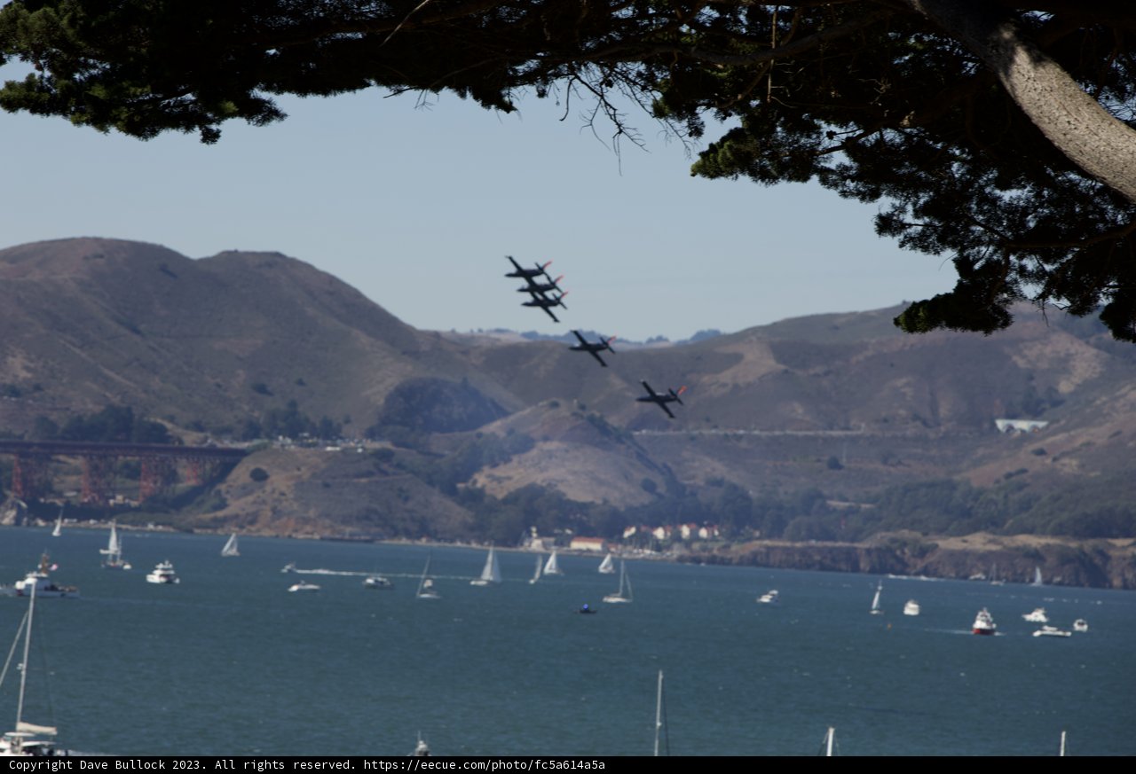 Aerial Spectacle Above the Bay
