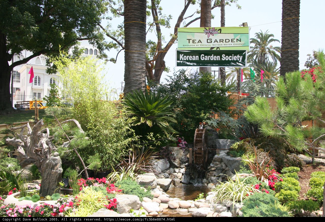 Tea Garden Oasis