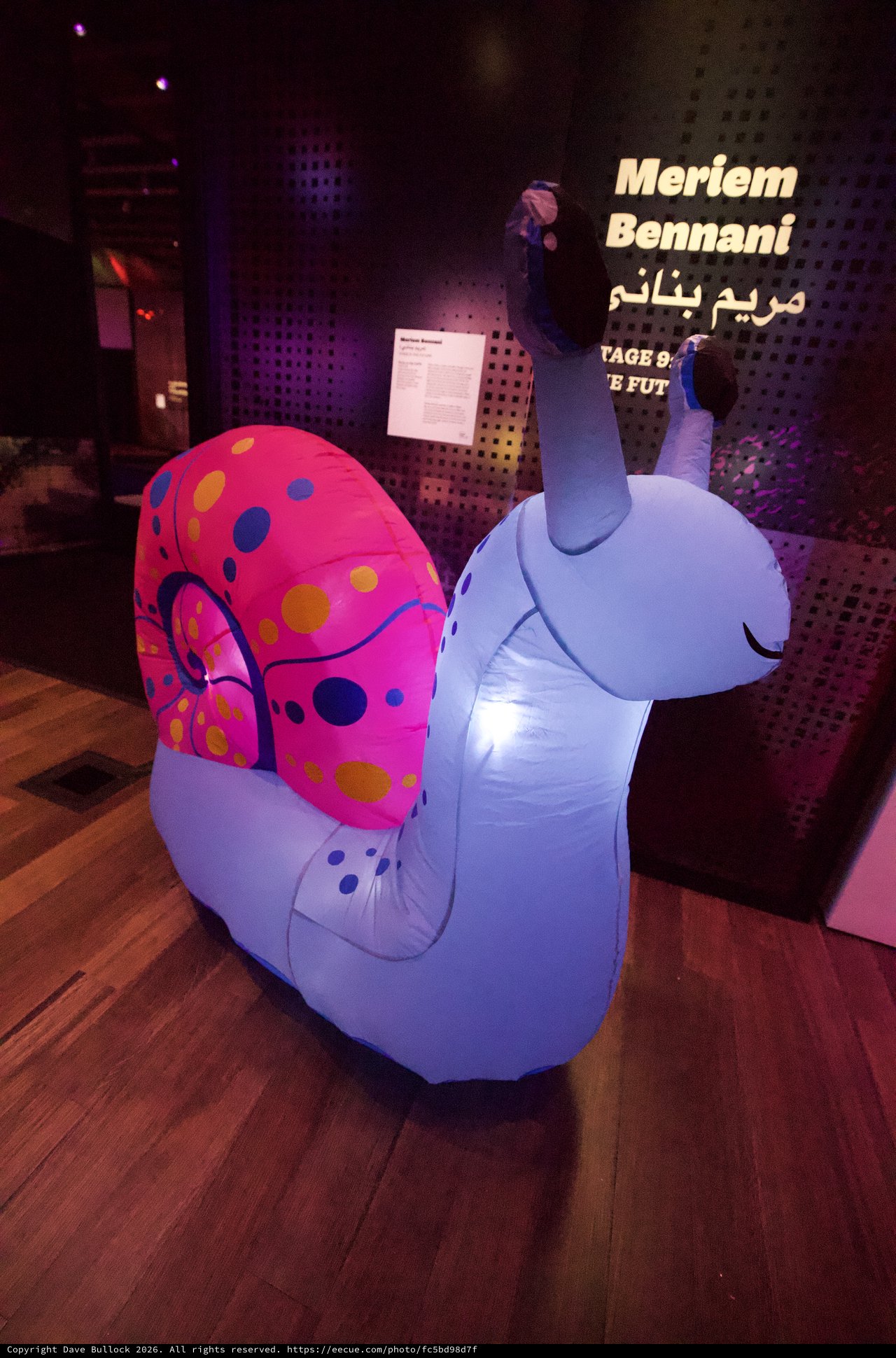 Colorful Inflatable Snail Art Installation at Museum
