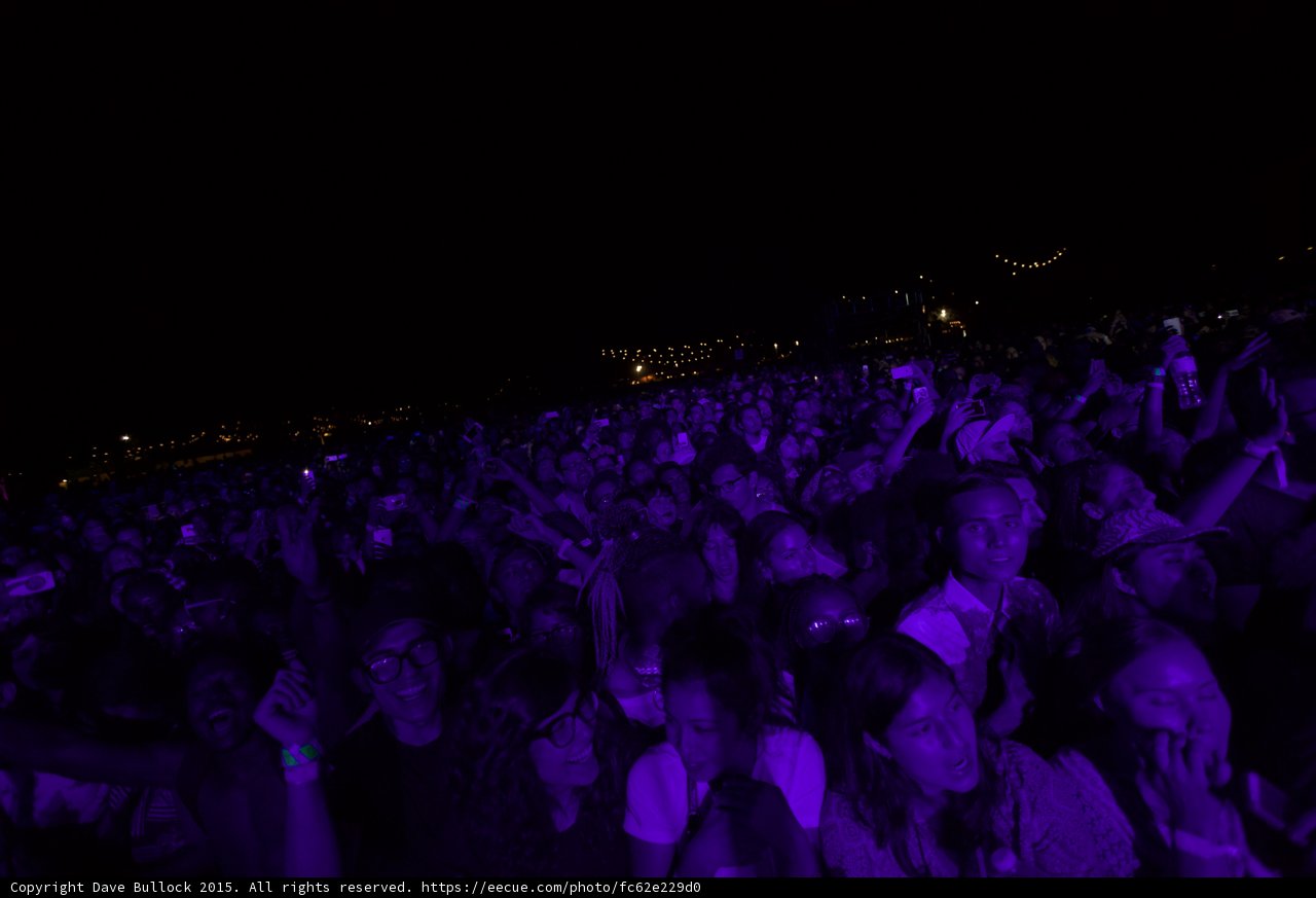Crowd Purple Glow Phones String Lights