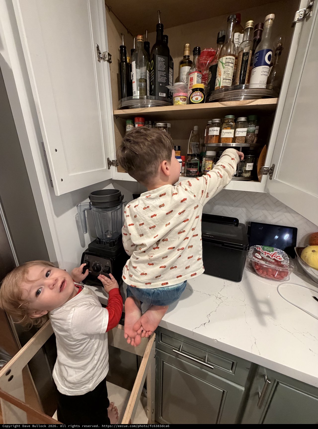 Young Brothers Exploring Kitchen Cabinet Together