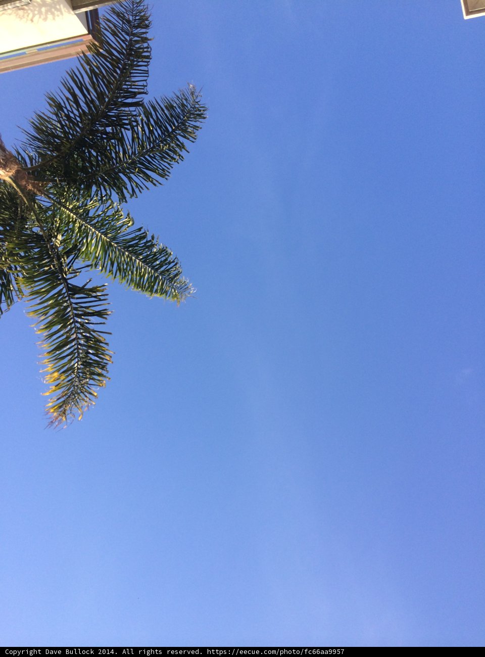 Summer Bliss