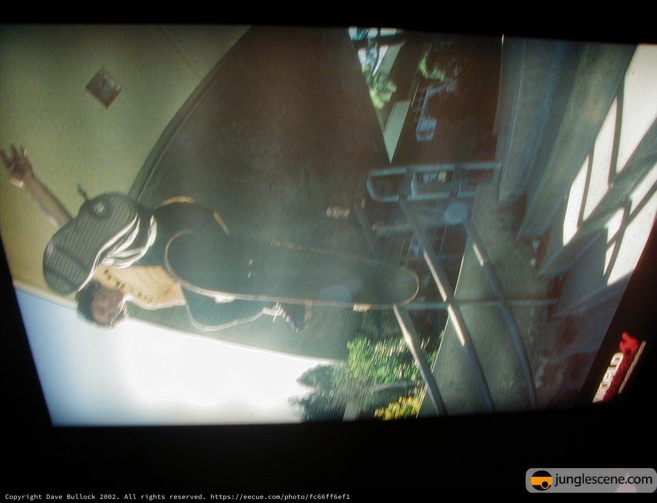 Skateboarding in the Virtual World