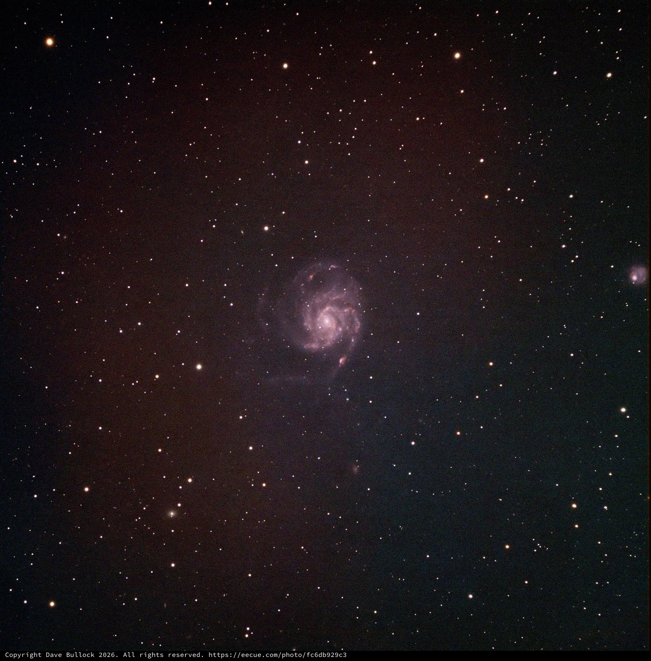 M101 Pinwheel Galaxy in Narrowband SHO Palette