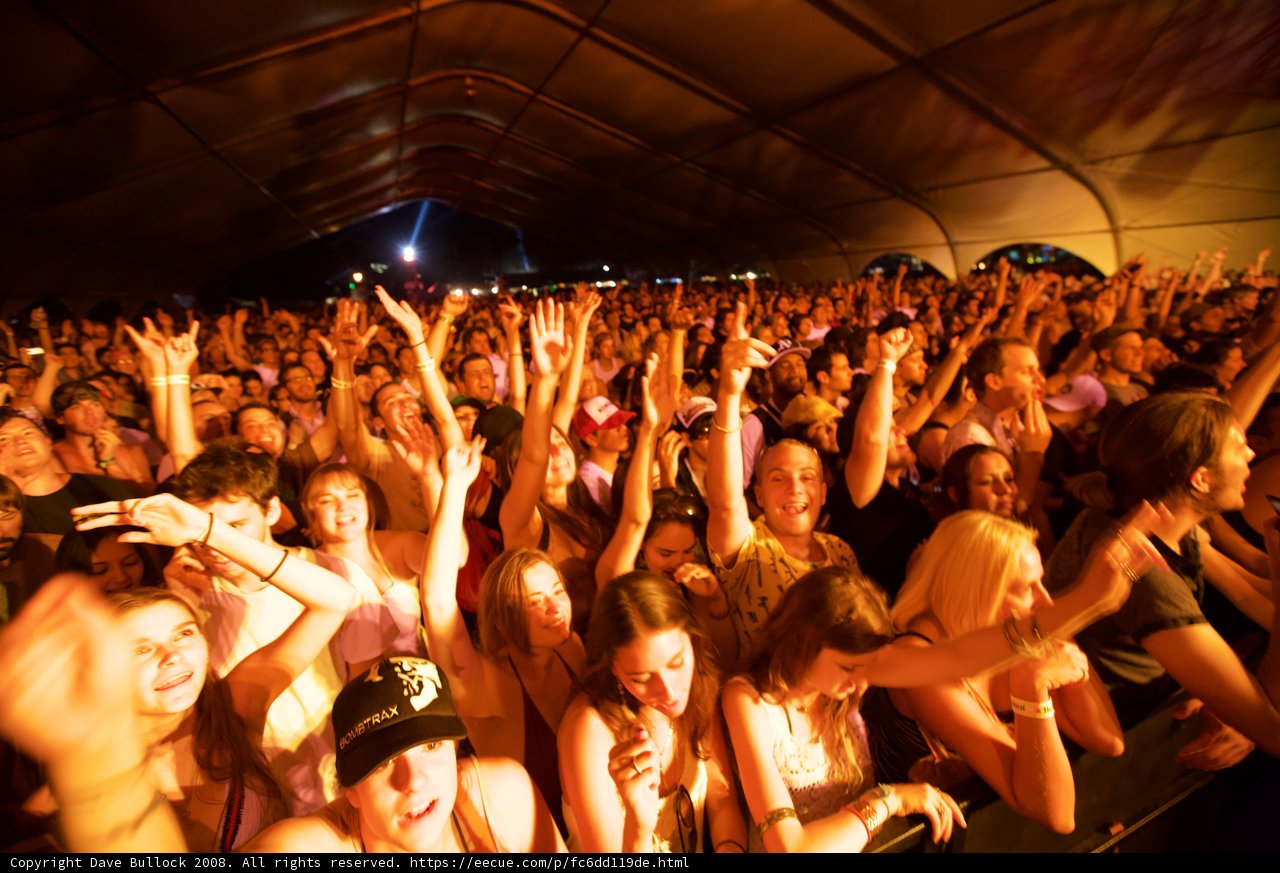Coachella Crowd Goes Wild