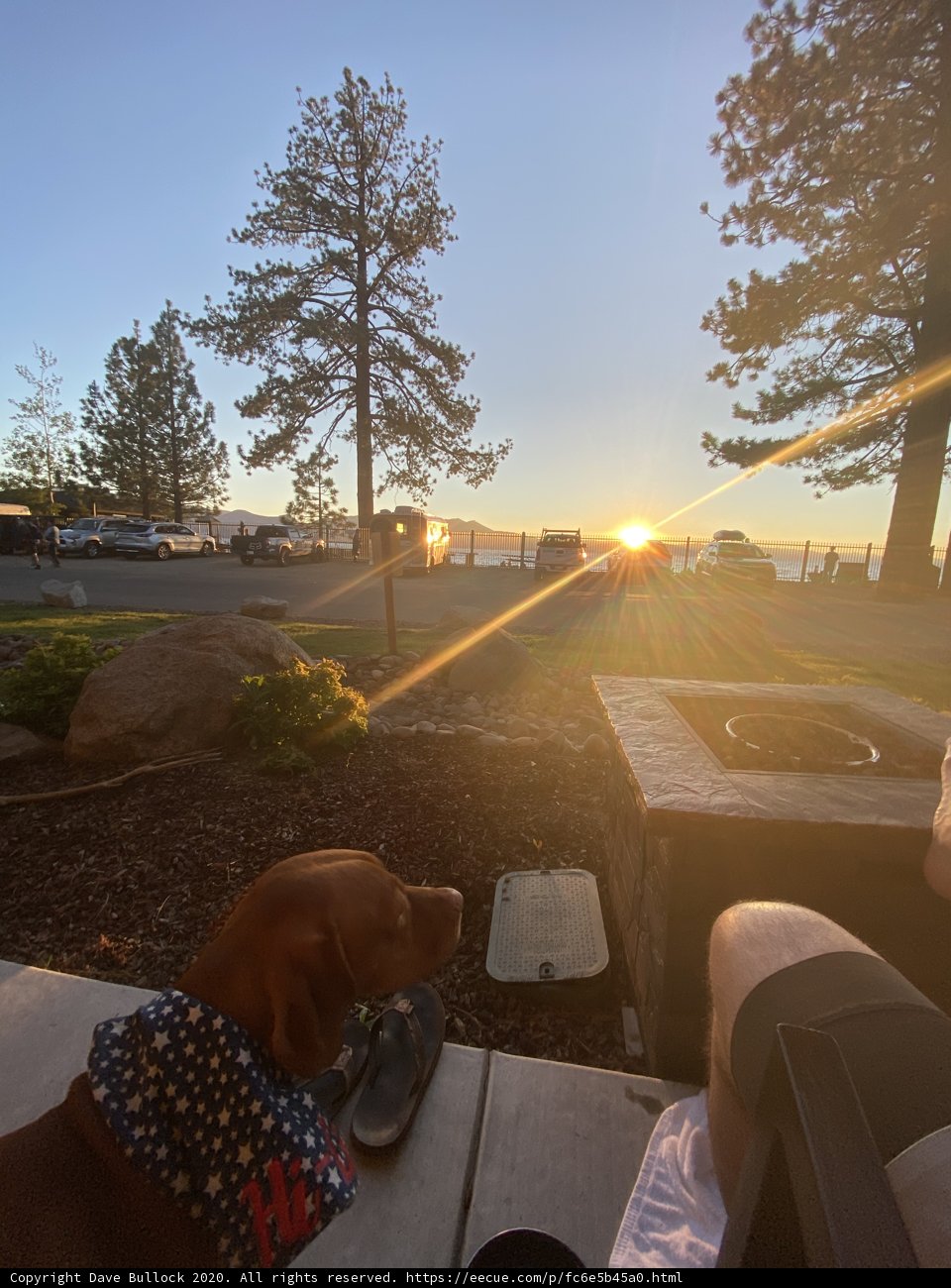 Sunset Bench Buddies