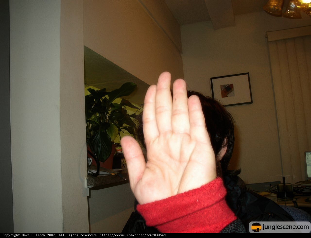 Hand and Foliage Composition