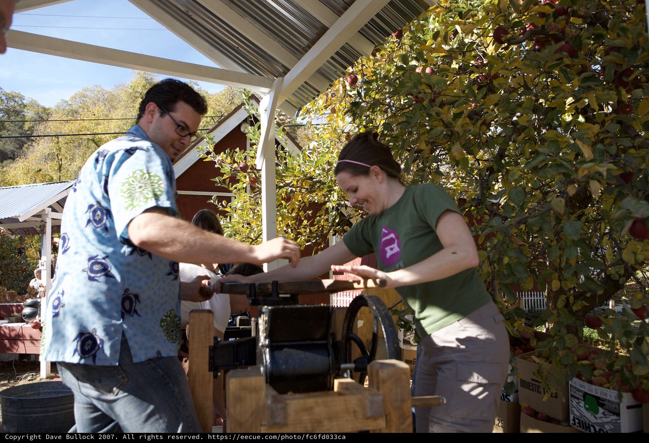 Making Fresh Apple Cider at an Autumn Farm