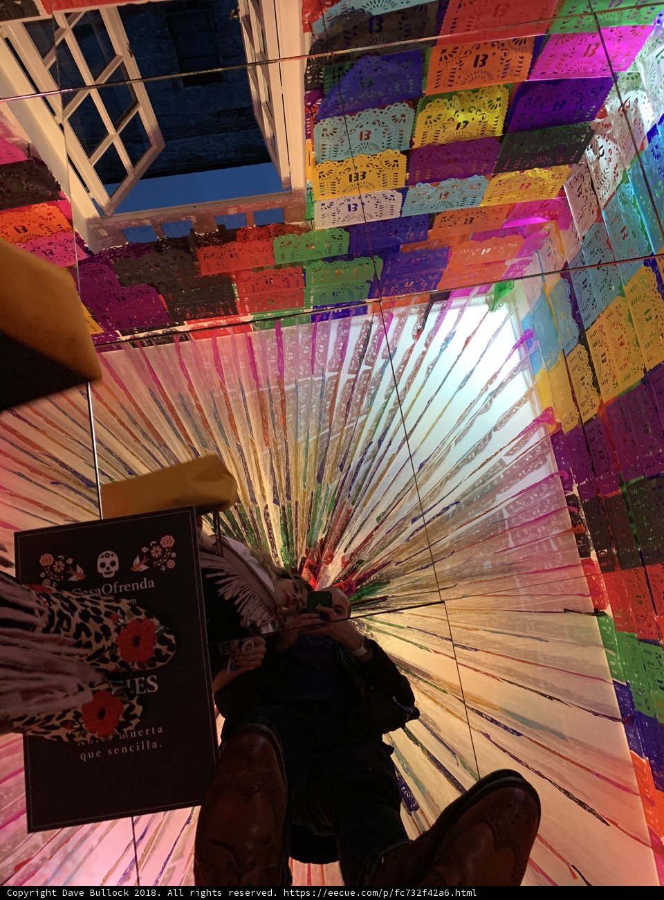 Colorful Umbrella Shade
