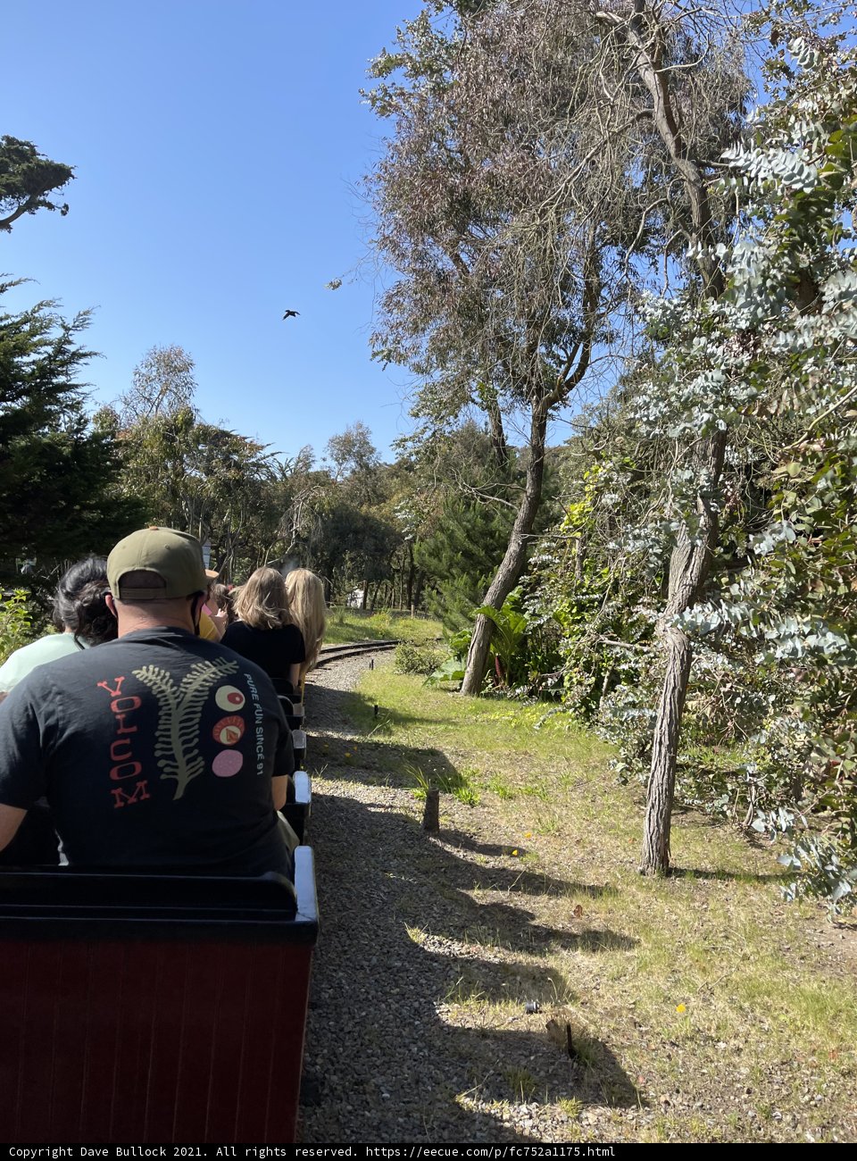 Riding a Train Through the Park