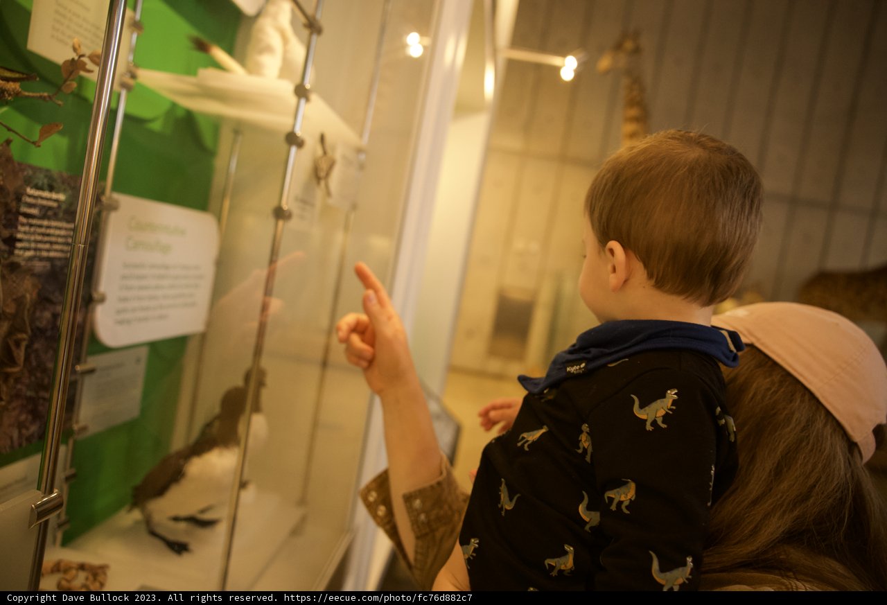 Exploring the Natural Wonders: A Day at The Academy of Sciences