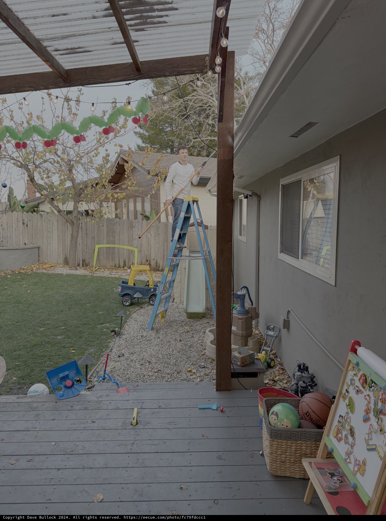 Home Construction Project in Backyard Progress