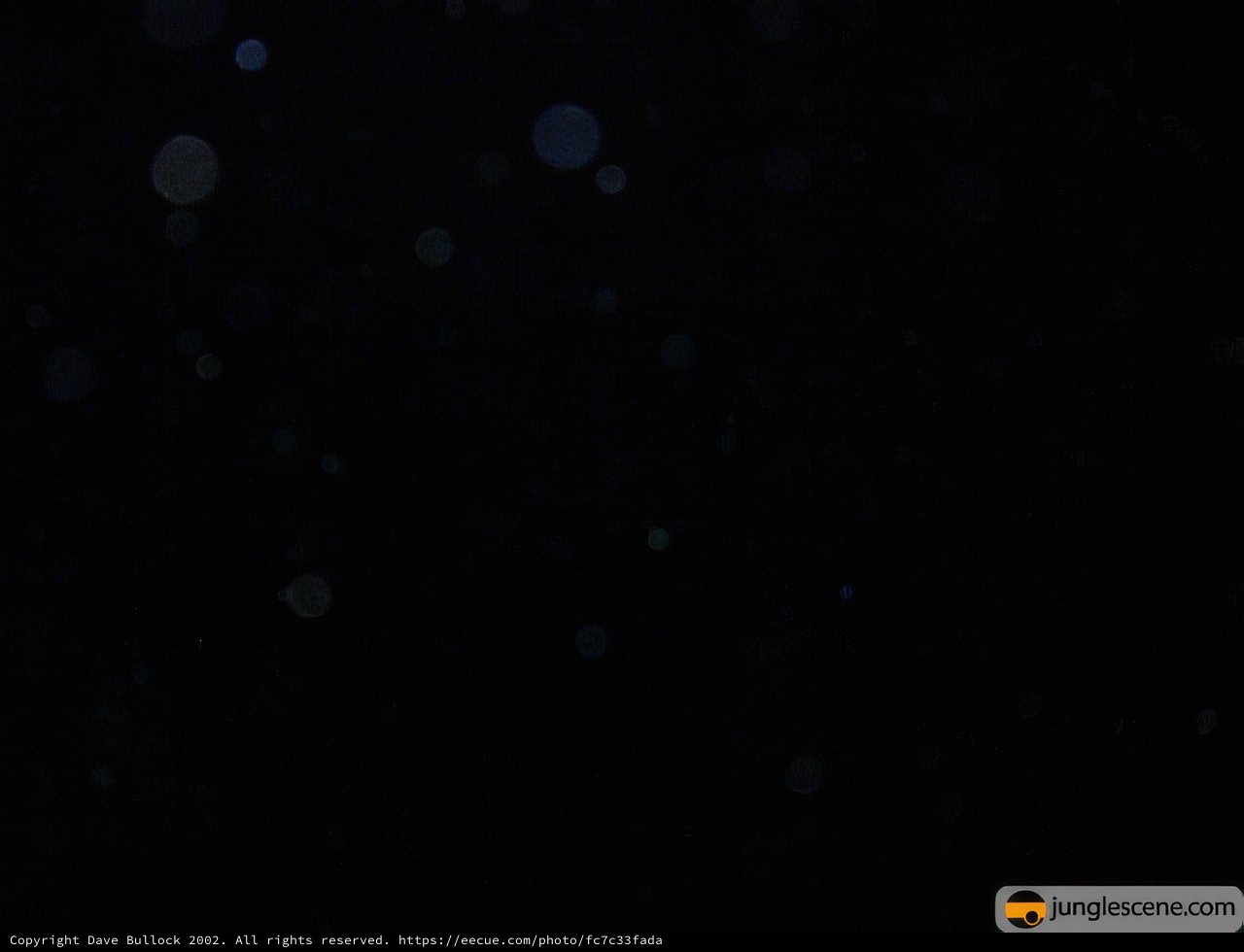 Night Lights