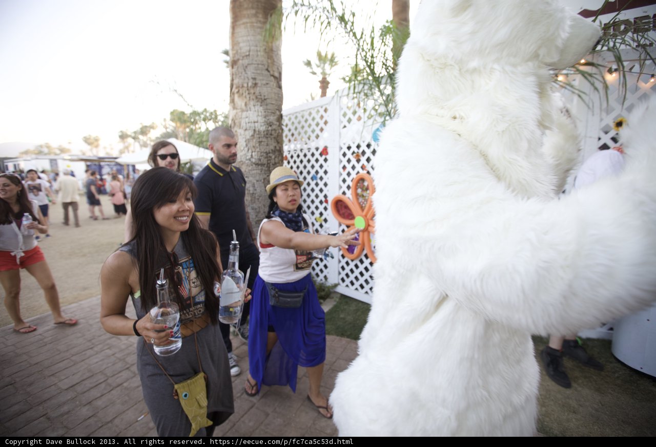 Bear-y Bride and Groom