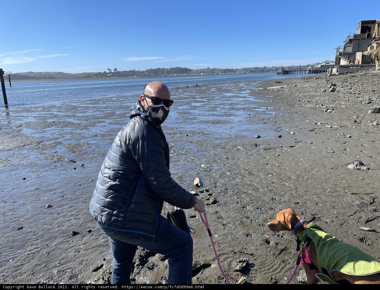 Man and Dog Enjoying a Cloudy Day on the Beach