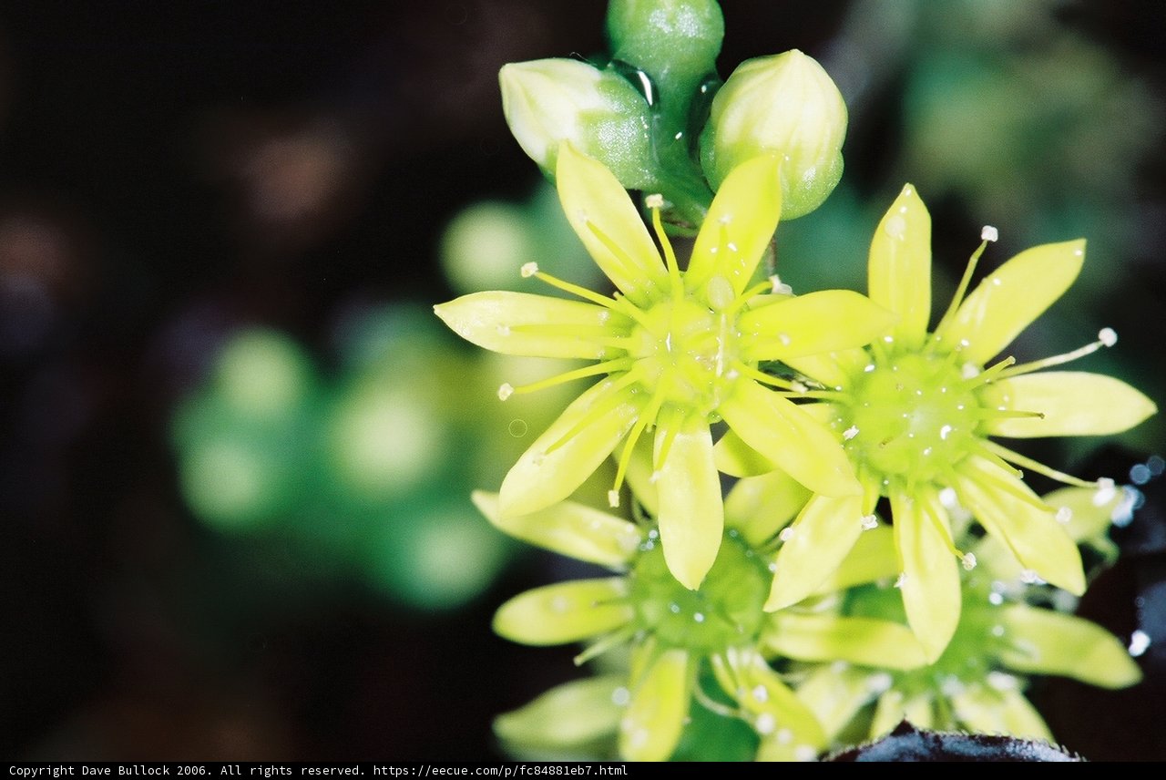 Refreshed Beauty